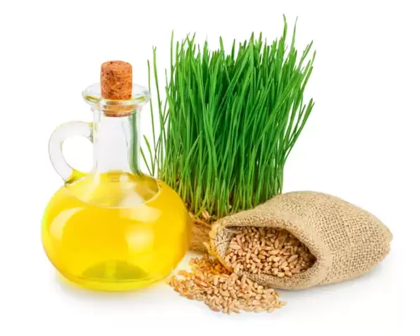 O aceite de xerme de trigo como parte da crema Eudalie